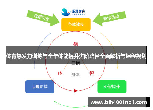 体育爆发力训练与全年体能提升进阶路径全面解析与课程规划